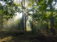 2016-10-09 Les gorges d Apremont 0011